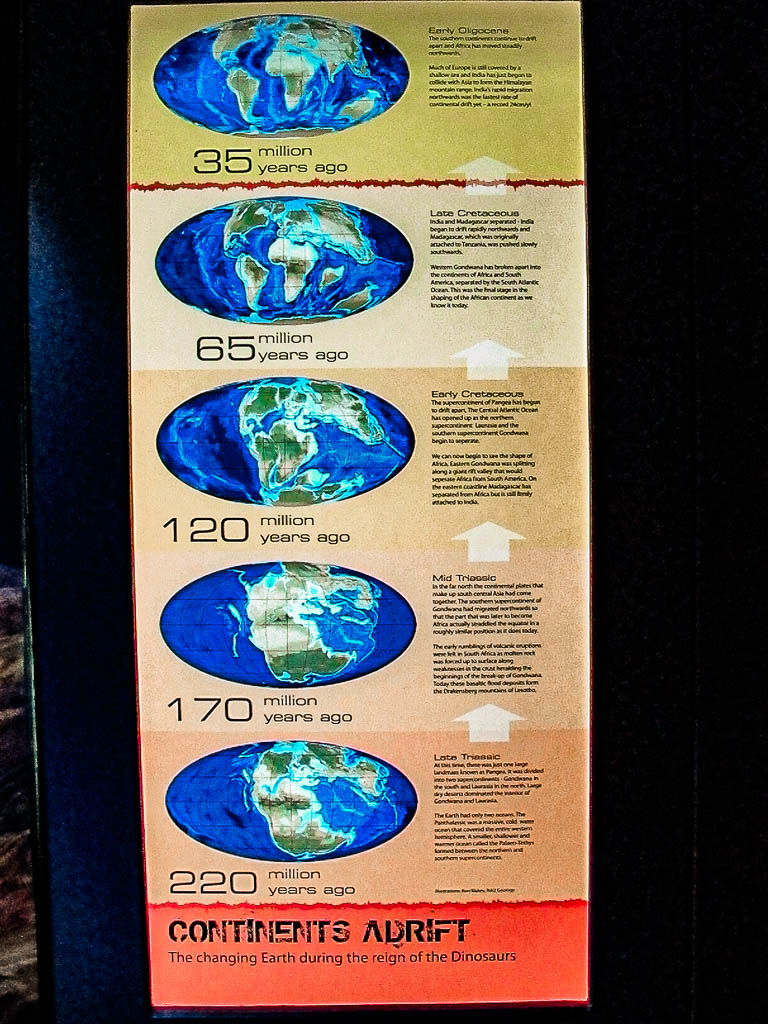 Cape_Town_Africa_amamosviajar -092