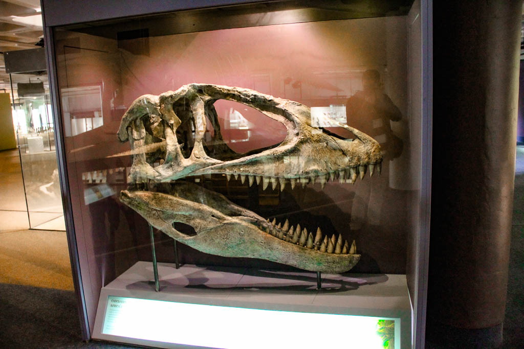 Cape_Town_Africa_amamosviajar -094