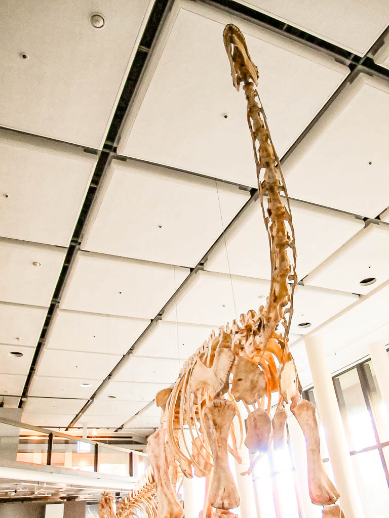 Cape_Town_Africa_amamosviajar -095