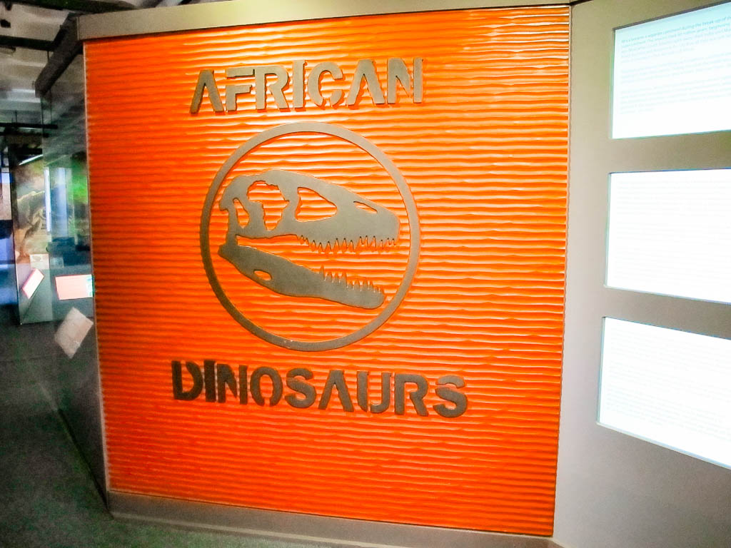 Cape_Town_Africa_amamosviajar -099