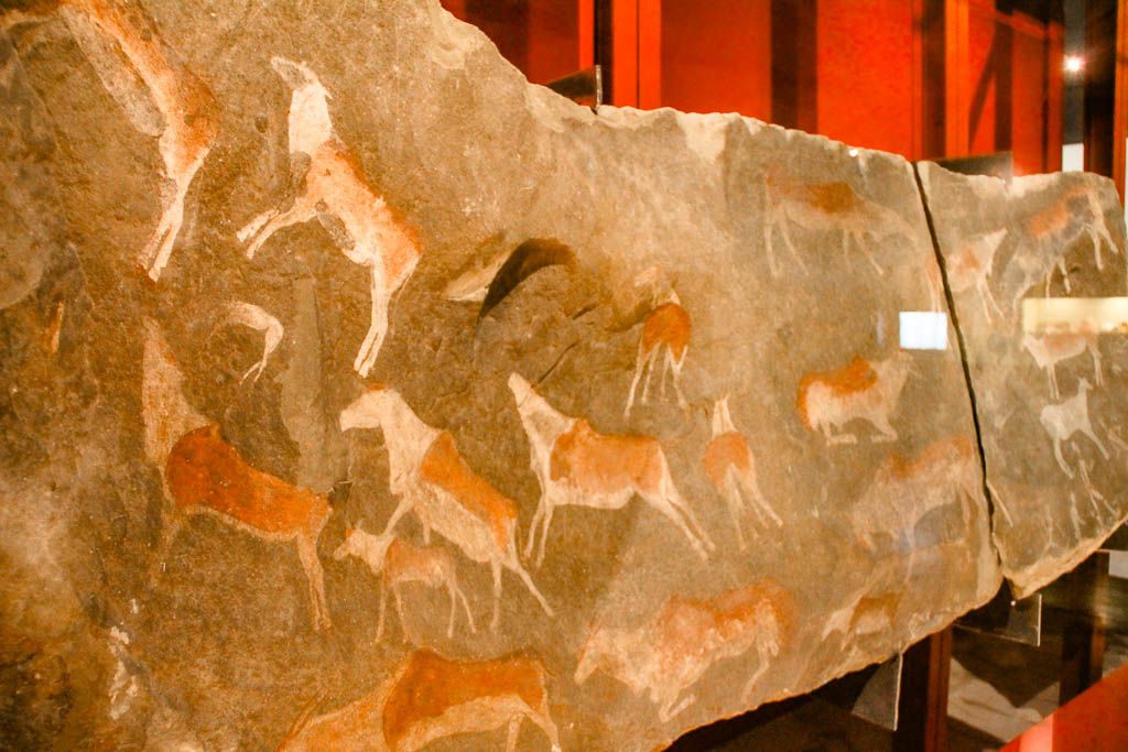 Cape Town Africa amamosviajar 103