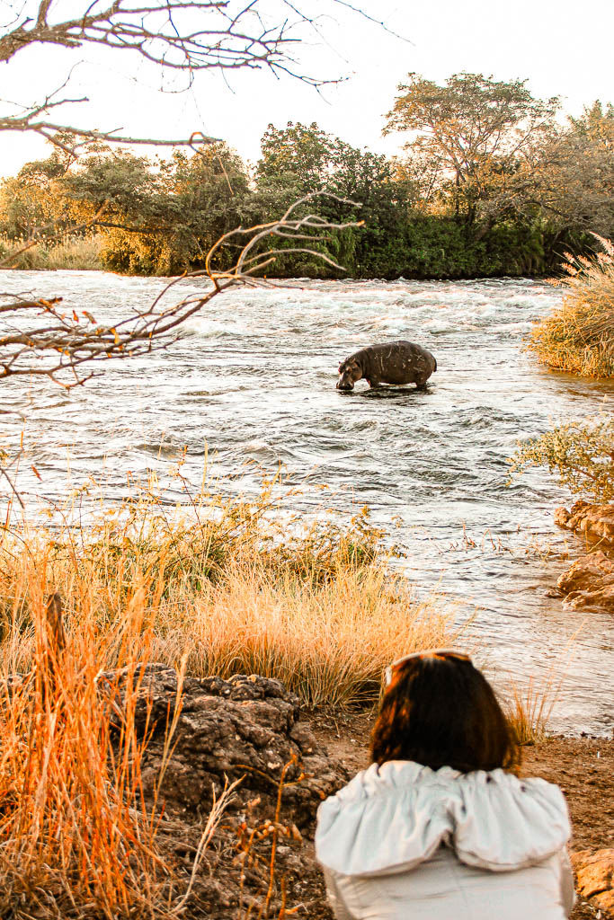 Livingstone_Zambia__amamosviajar -116