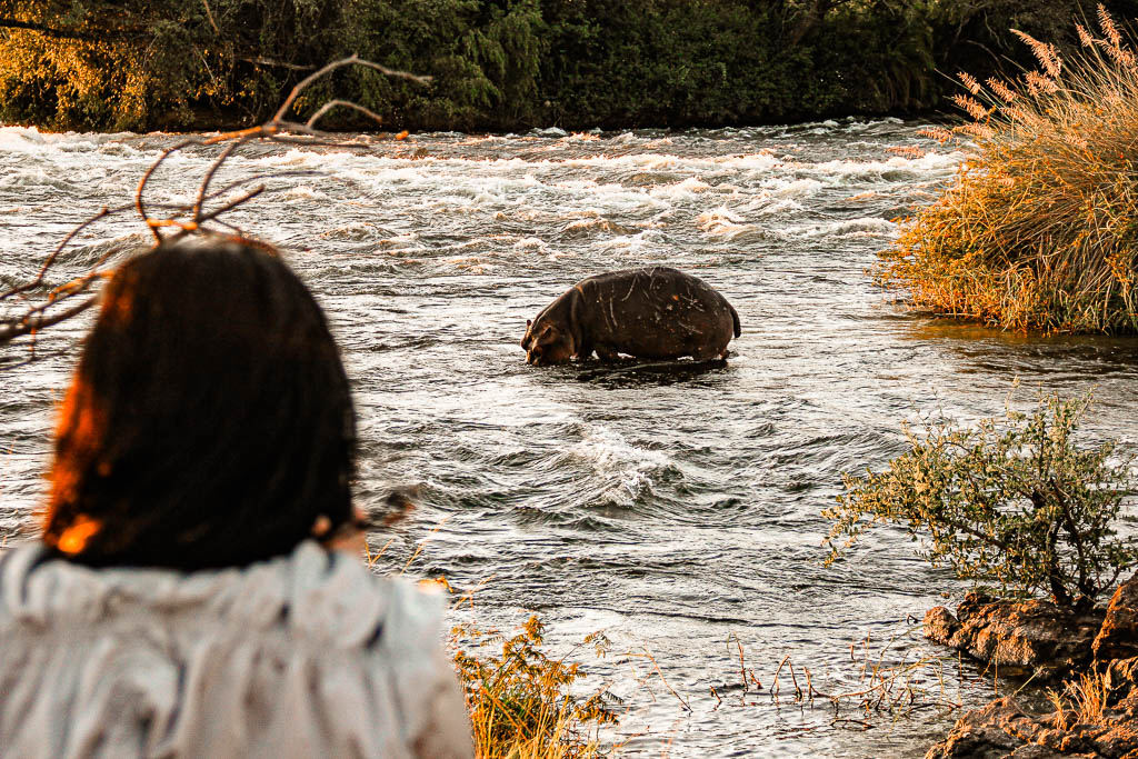 Livingstone_Zambia__amamosviajar -118