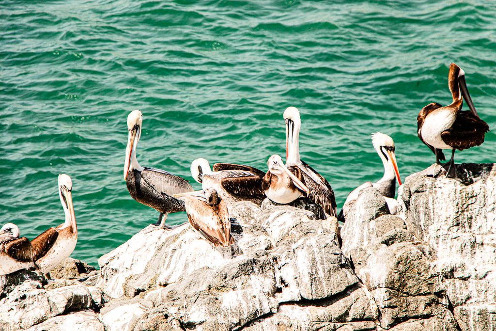 Santiago_Chile_amamosviajar -069