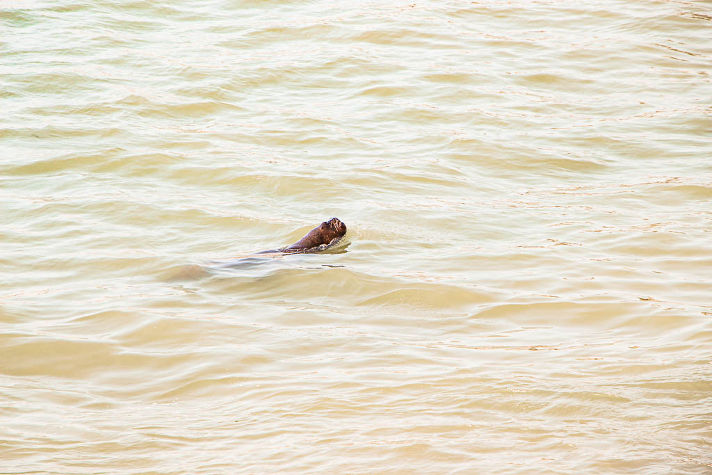 Santiago_Chile_amamosviajar -077