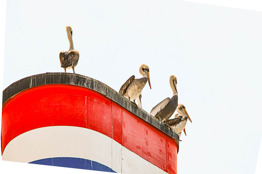 Santiago_Chile_amamosviajar -080