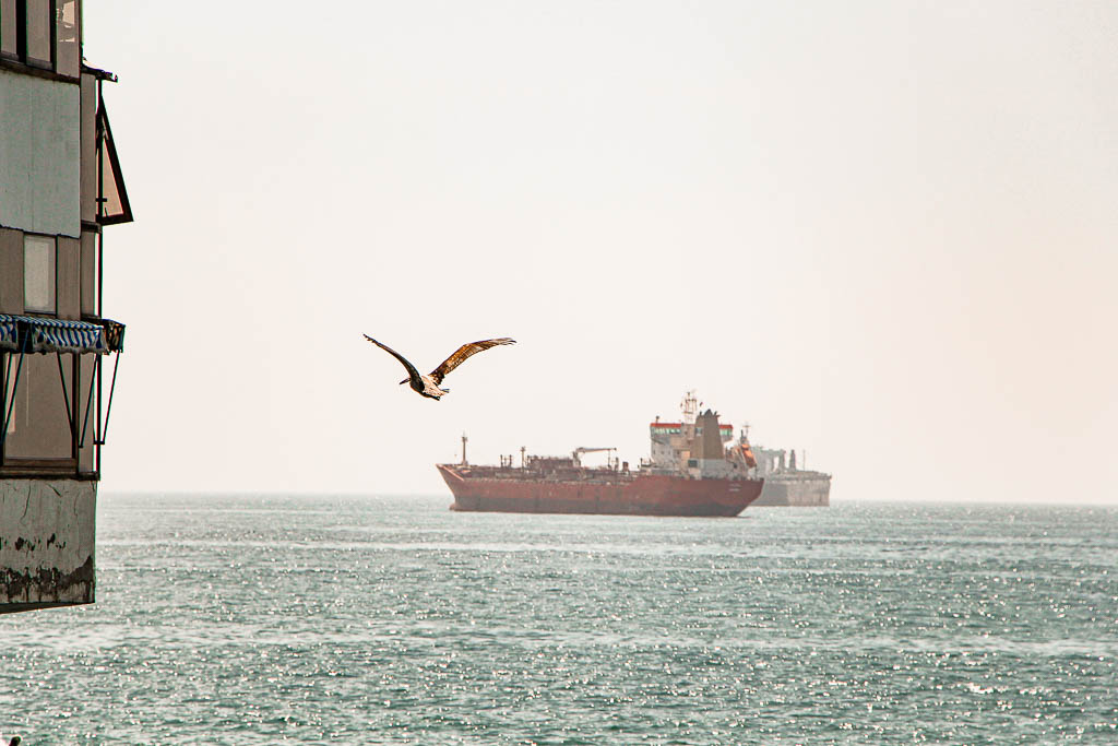 Santiago_Chile_amamosviajar -082