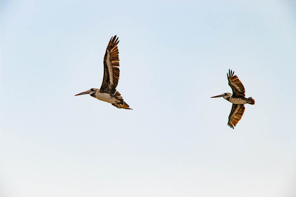 Santiago_Chile_amamosviajar -083