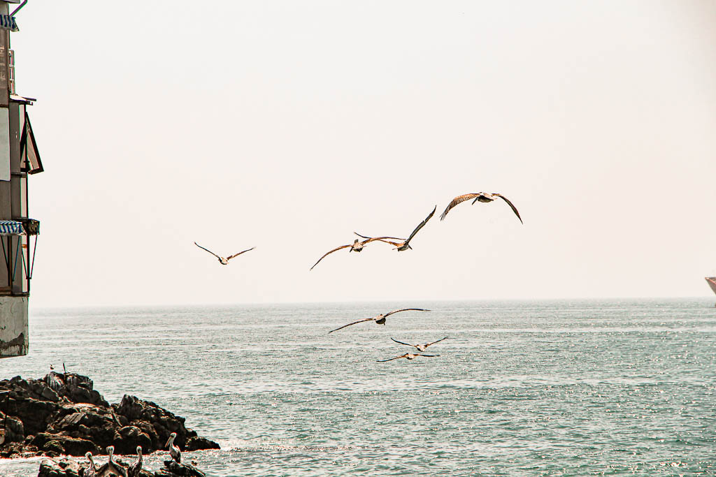 Santiago_Chile_amamosviajar -084