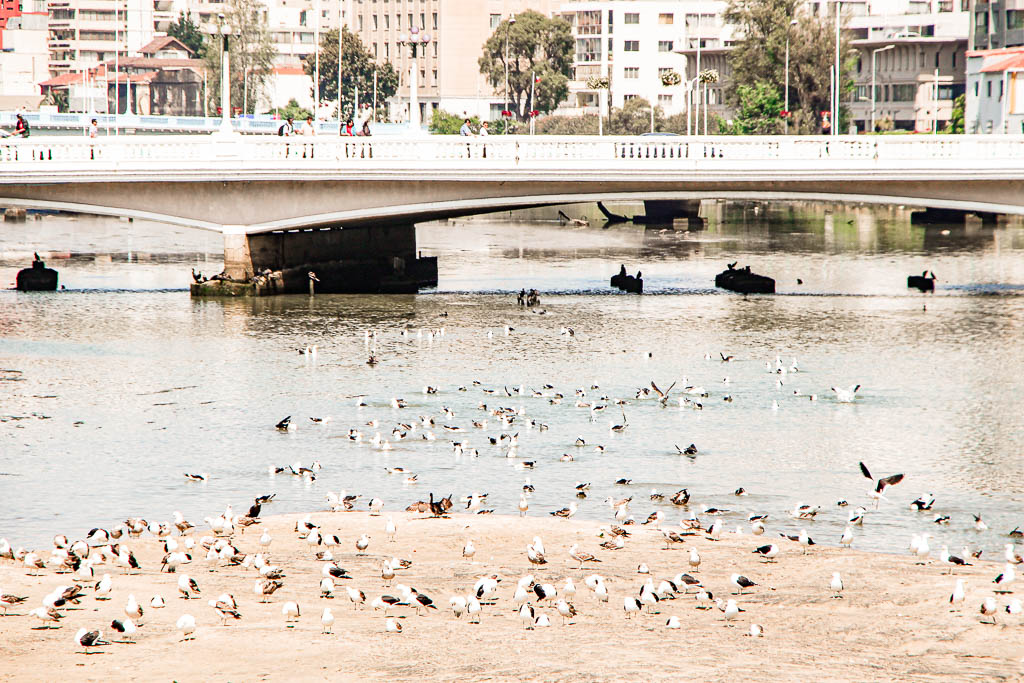Santiago_Chile_amamosviajar -090
