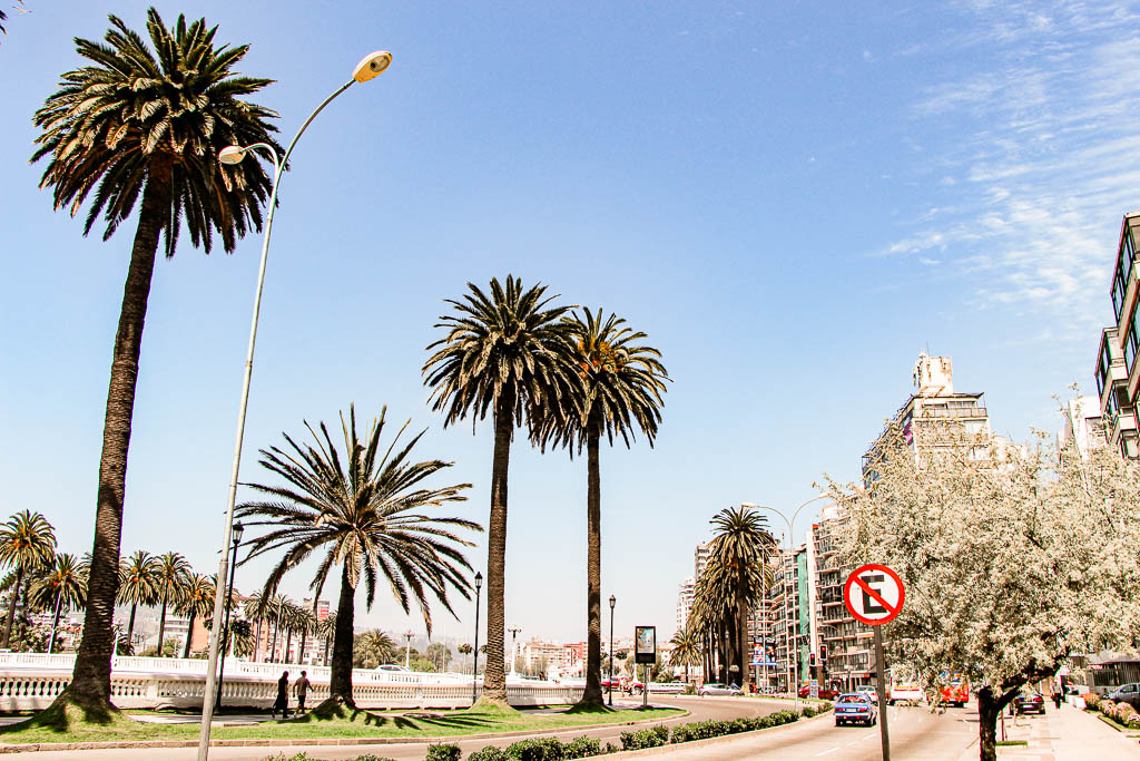 Santiago_Chile_amamosviajar -092