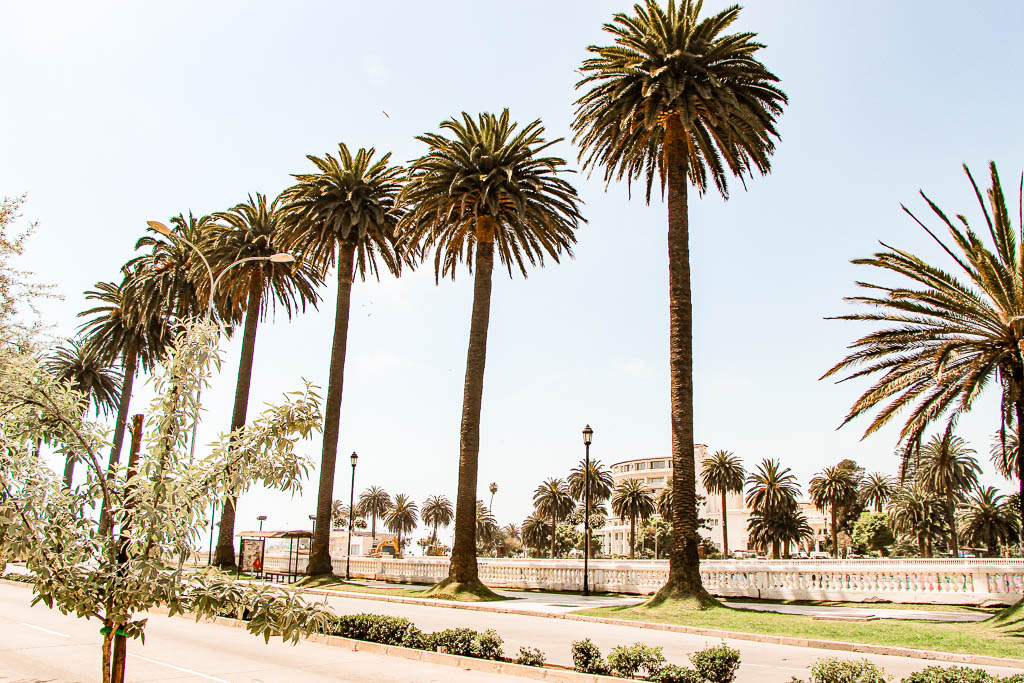 Viña del Mar: a Riviera do Pacífico chileno, Chile