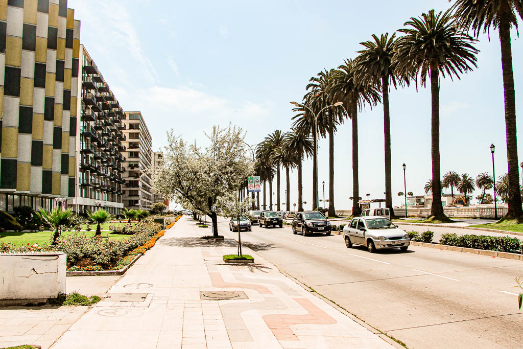 Viña del Mar: a Riviera do Pacífico chileno, Chile