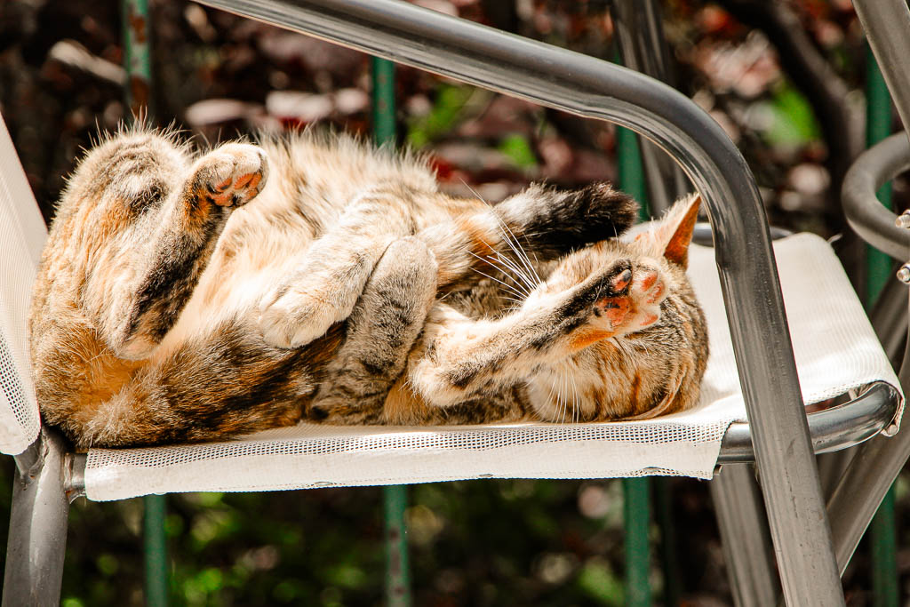 Santiago_Chile_amamosviajar -169