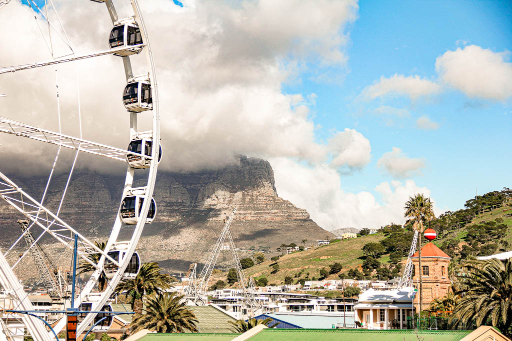 Cape_Town_Africa_amamosviajar -139