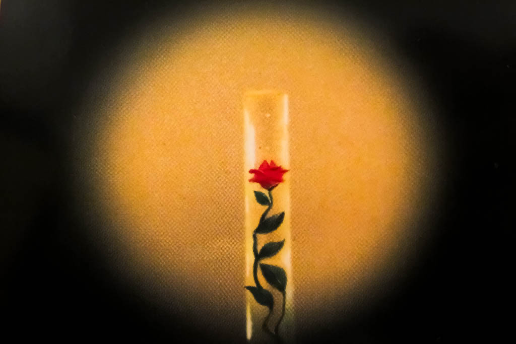 Kiev_Ucrania__amamosviajar -005