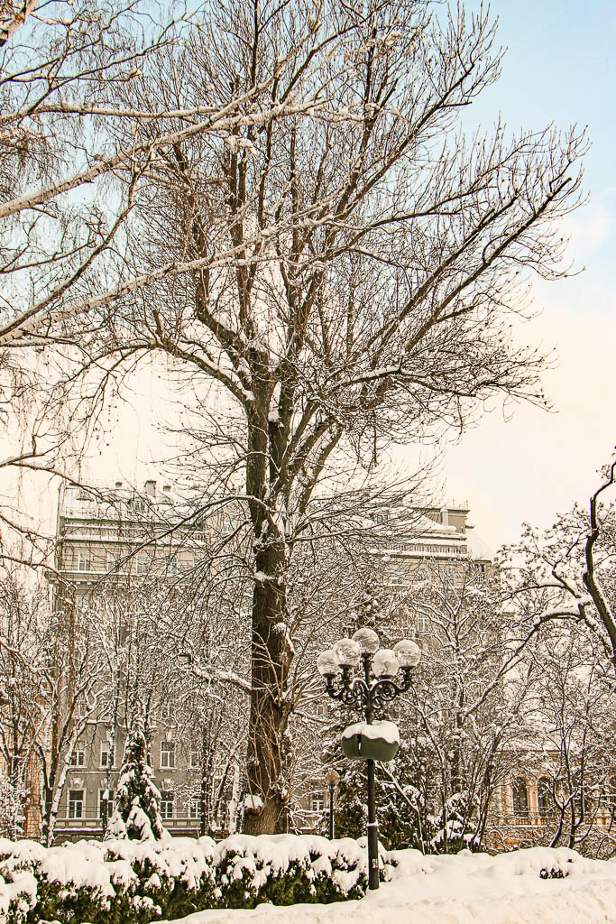 Kiev_Ucrania__amamosviajar -134