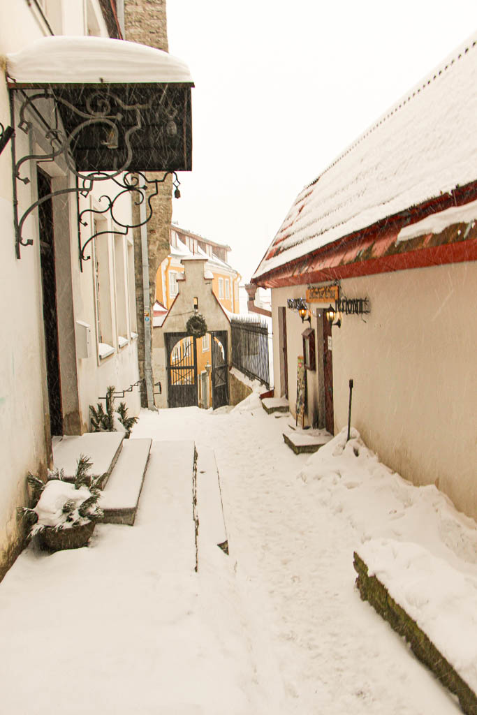 Tallin Estonia amamosviajar 61 1