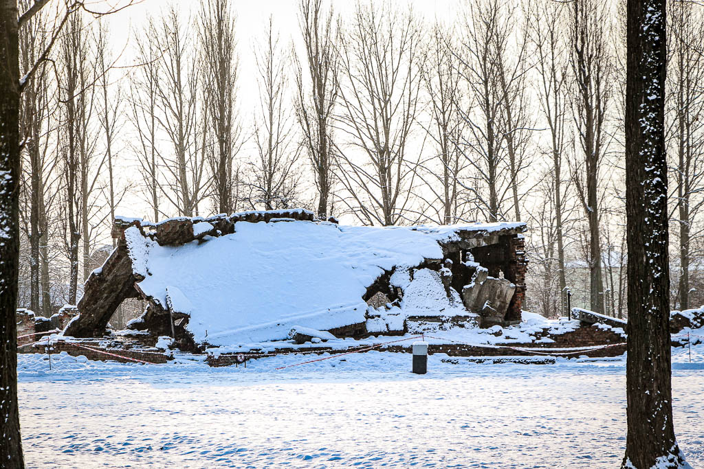 Auschwitz_Polonia__amamosviajar -15
