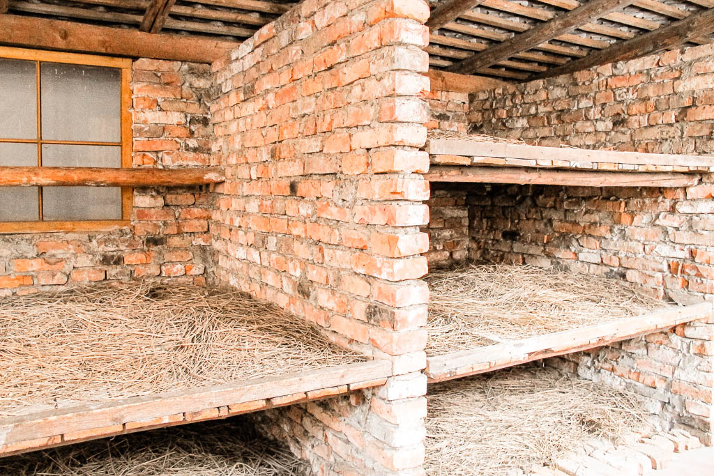 Auschwitz_Polonia__amamosviajar -28