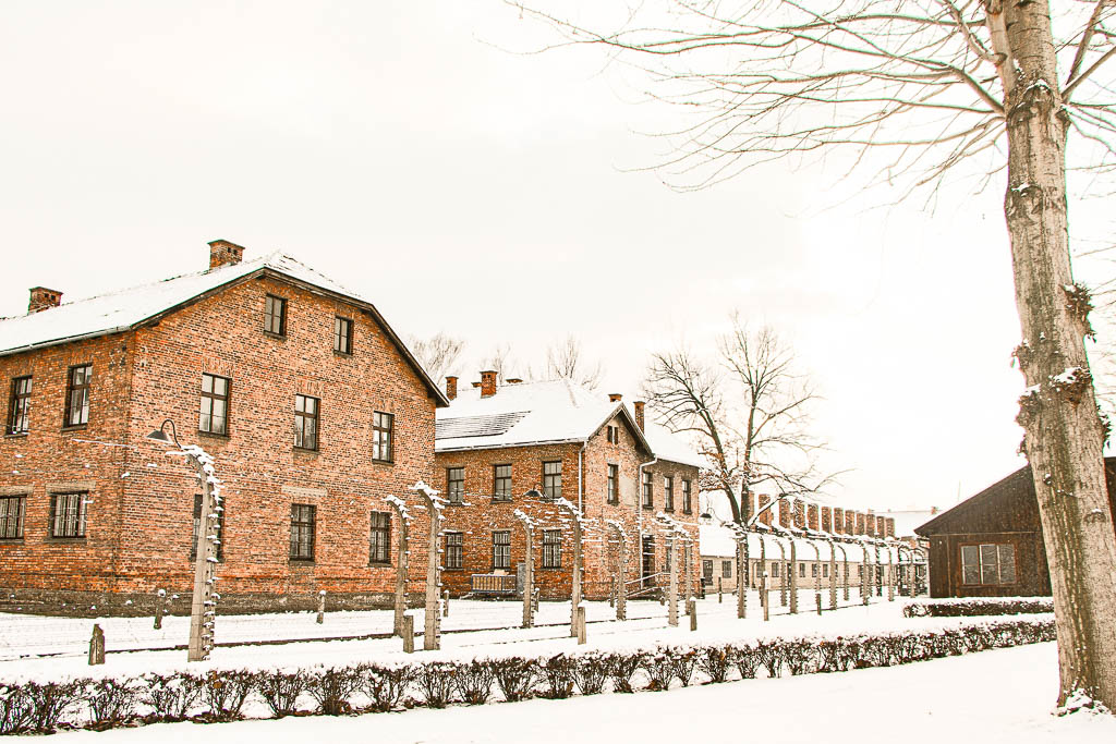 Auschwitz_Polonia__amamosviajar -36