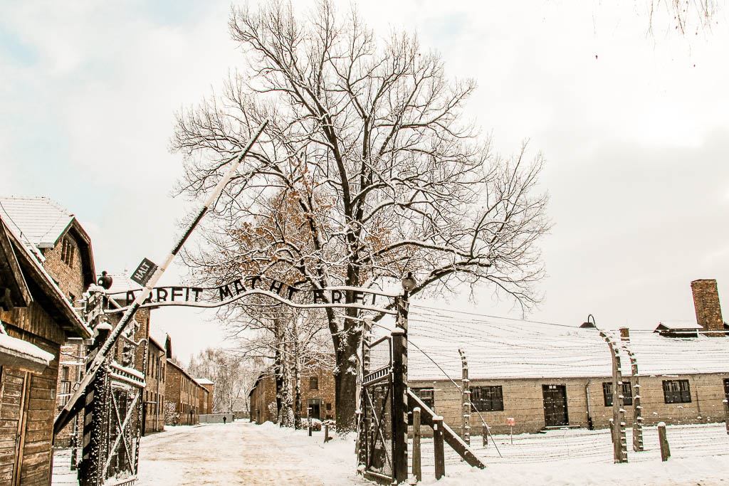 Auschwitz_Polonia__amamosviajar -73