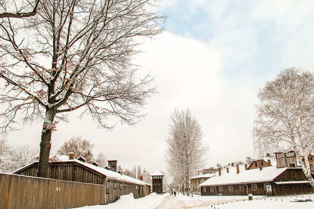 Auschwitz_Polonia__amamosviajar -79