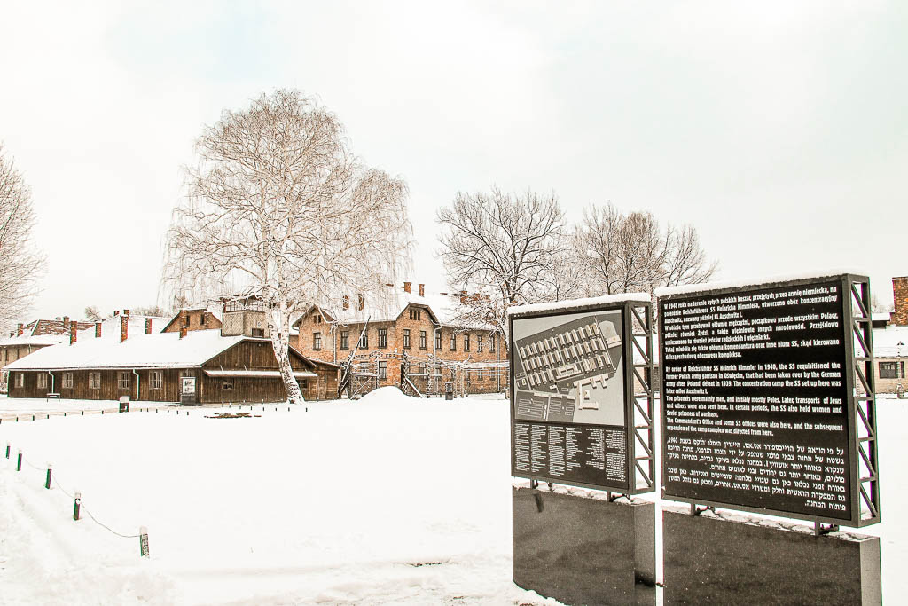 Auschwitz_Polonia__amamosviajar -80