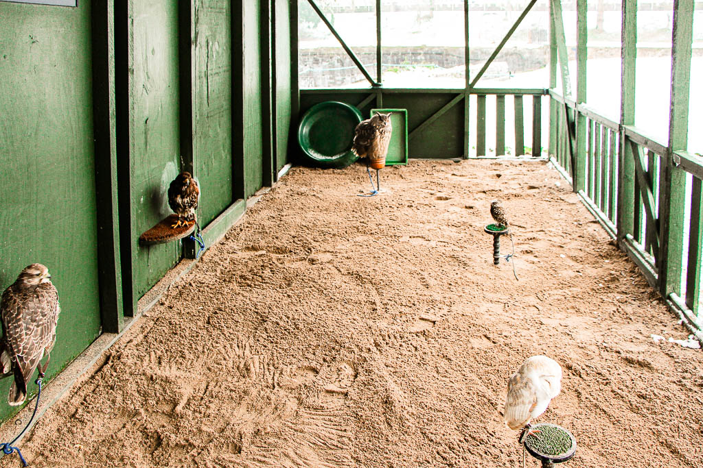 Cardiff Pais de Gales amamosviajar 054