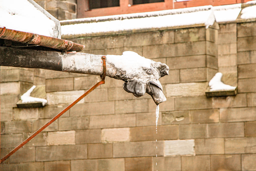 Cardiff_Pais_de_Gales_amamosviajar -068