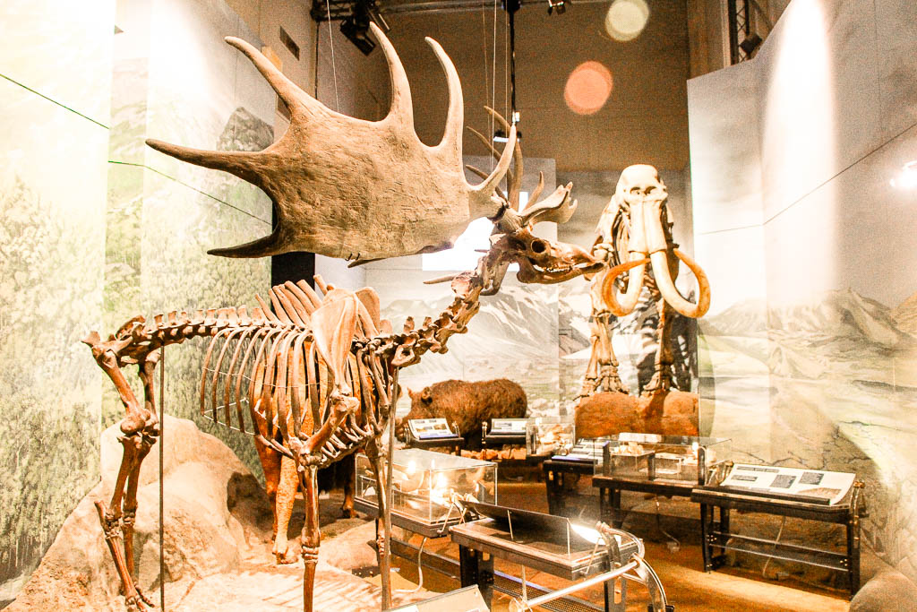 Cardiff_Pais_de_Gales_amamosviajar -112