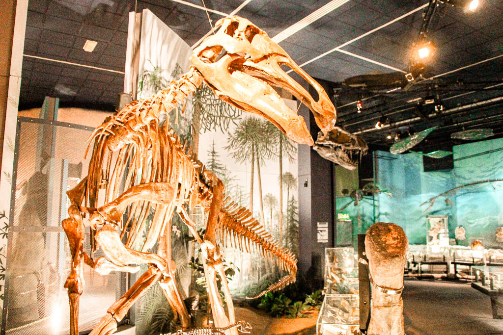 Cardiff_Pais_de_Gales_amamosviajar -114