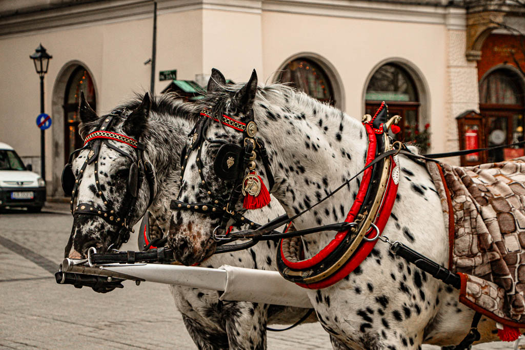 Cracovia_Polonia__amamosviajar -45
