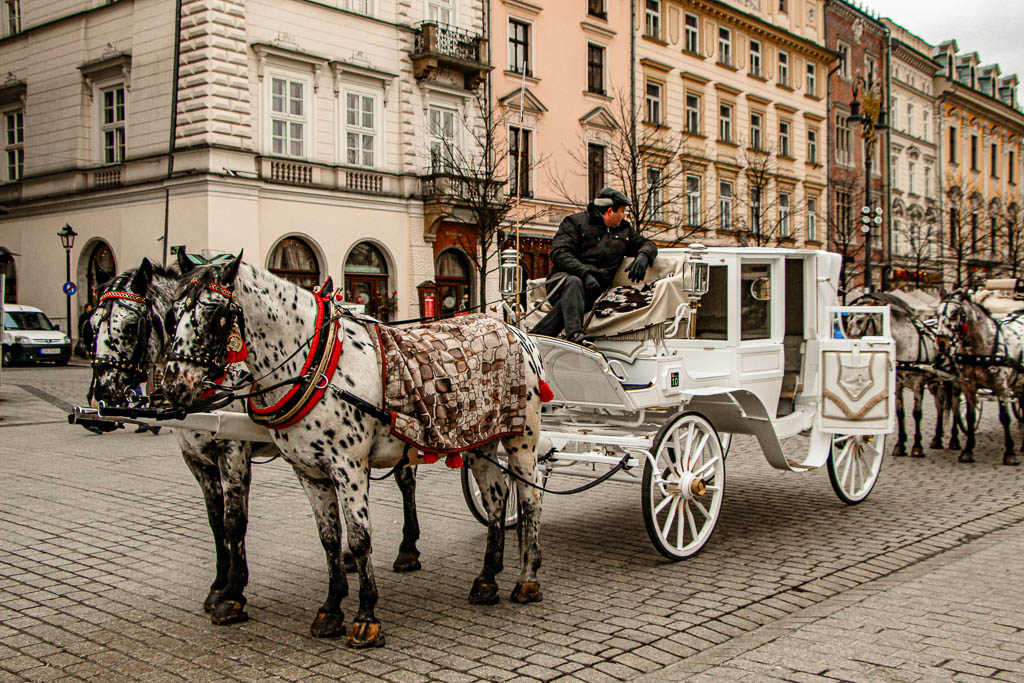Cracovia_Polonia__amamosviajar -46