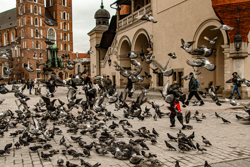 Cracovia_Polonia__amamosviajar -52