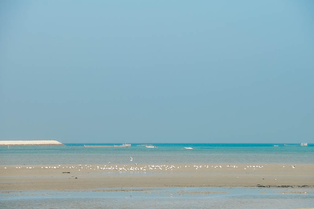 Bahrein_amamosviajar -10