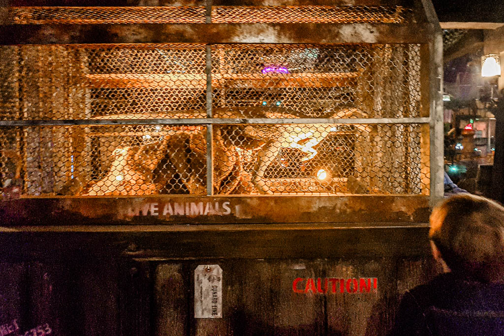 Dubai Emirados amamosviajar 08