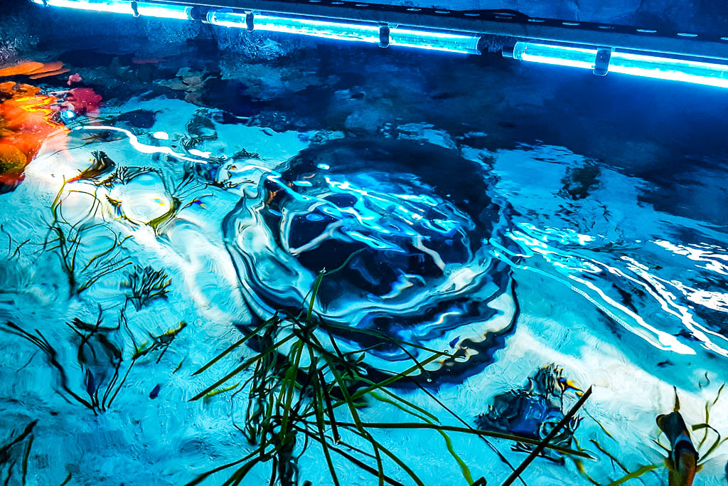 Dubai_Emirados_amamosviajar -44