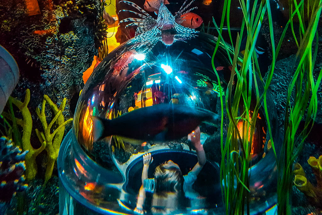 Dubai_Emirados_amamosviajar -45