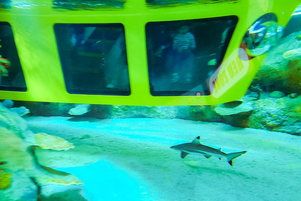 Dubai_Emirados_amamosviajar -49