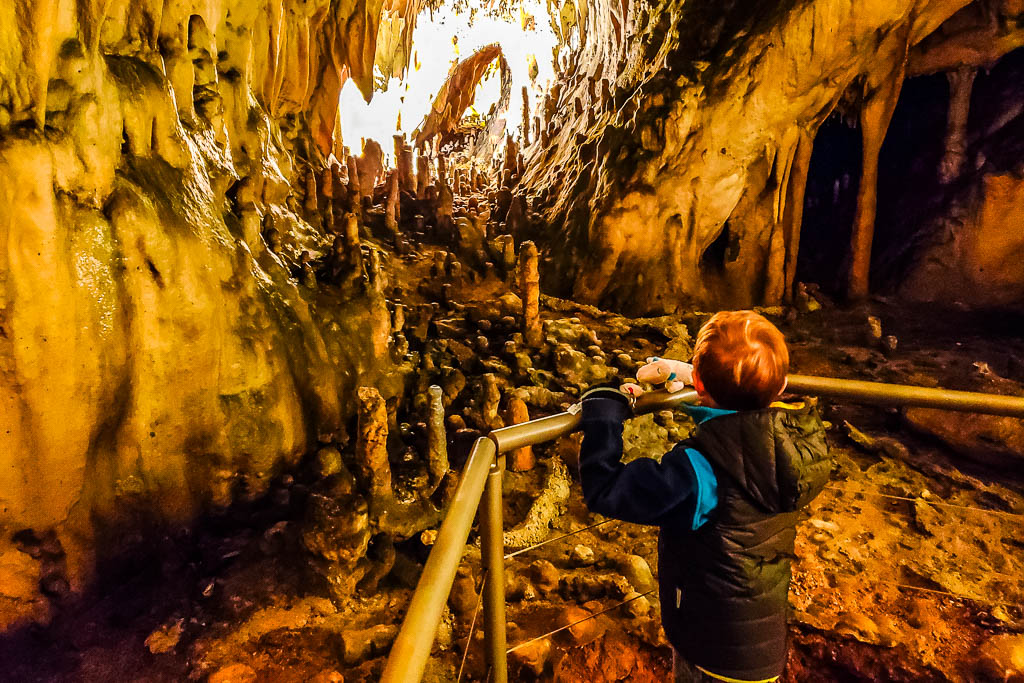 Liubliana_ESLOVENIA_amamosviajar -083