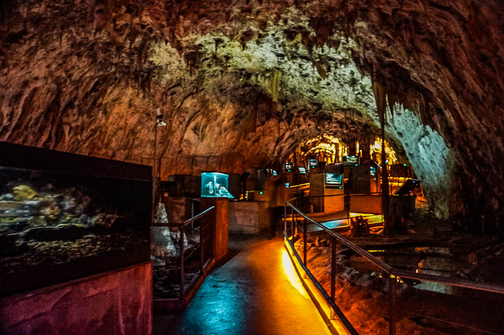 Liubliana_ESLOVENIA_amamosviajar -086