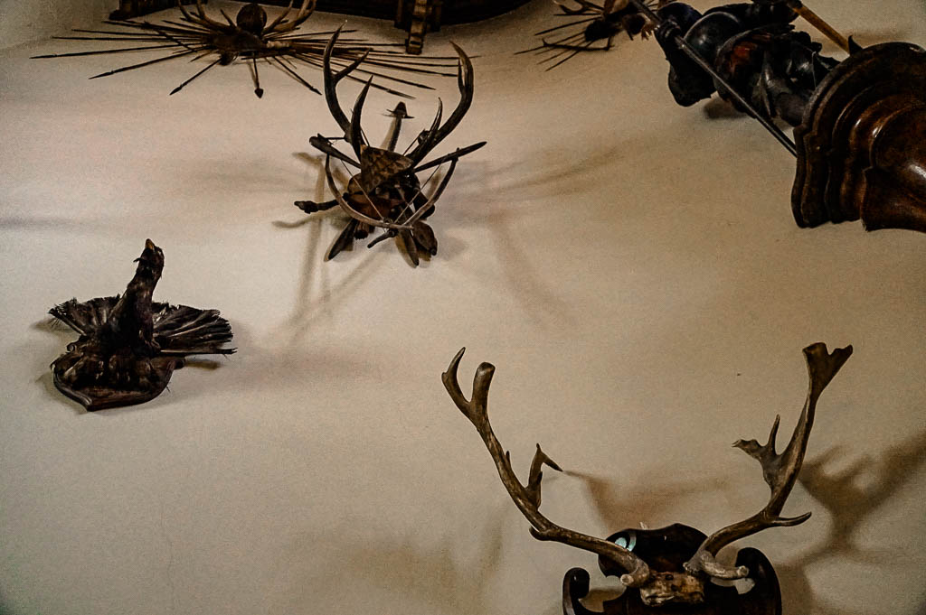 Trieste_Italia_amamosviajar -003