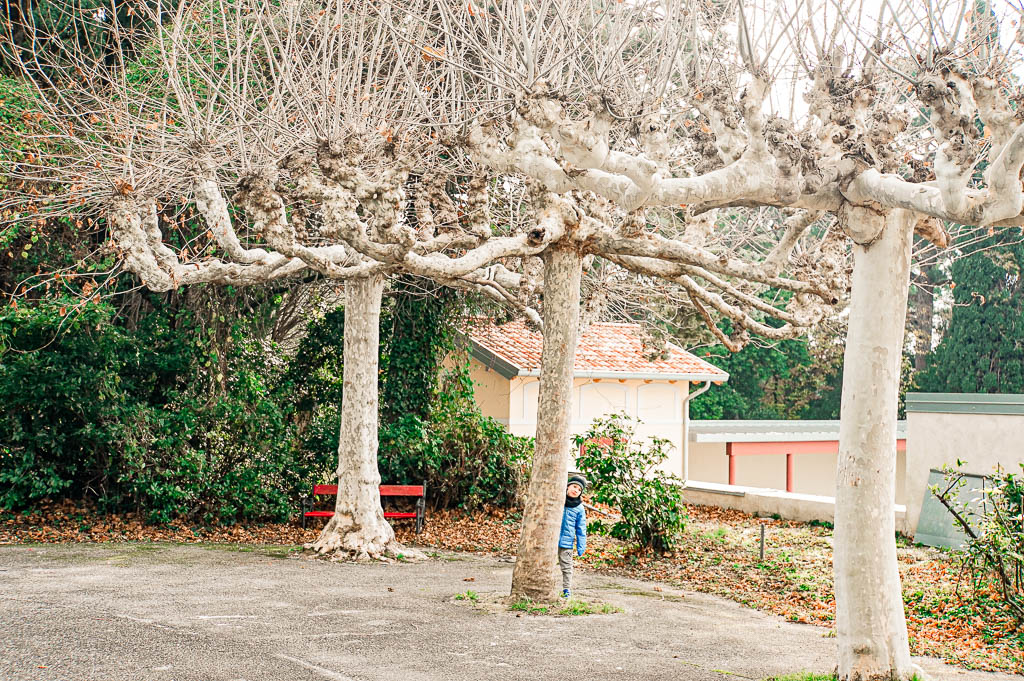 Trieste_Italia_amamosviajar -044