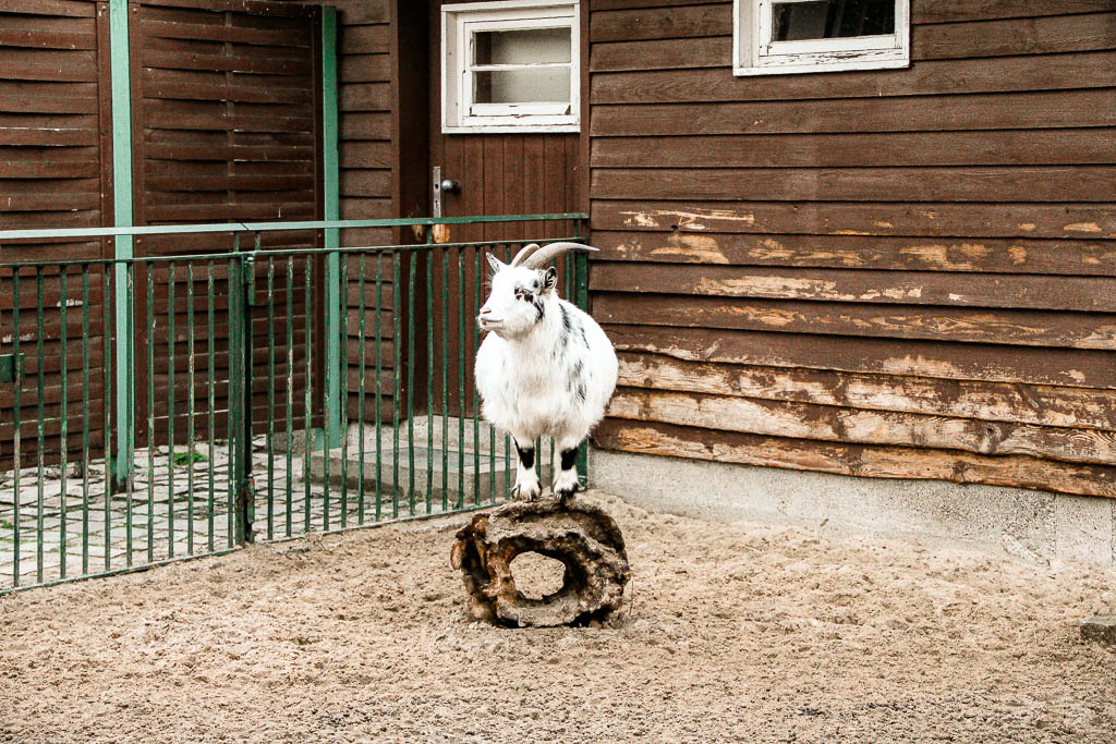 Berlim_Alemanha_amamosviajar -051