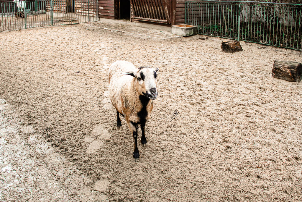 Berlim_Alemanha_amamosviajar -053