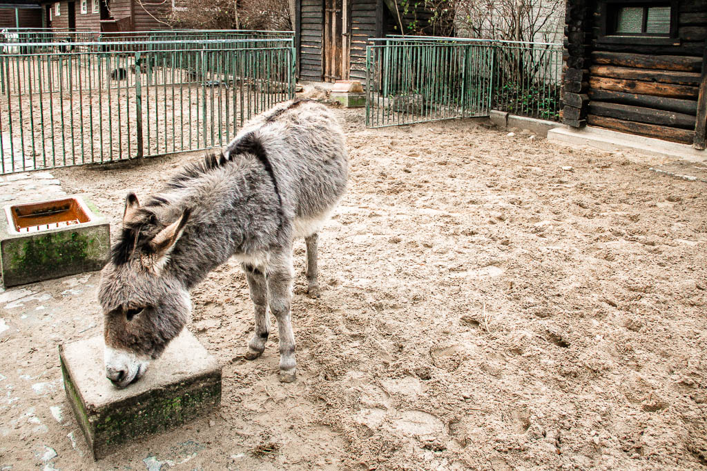 Berlim_Alemanha_amamosviajar -054