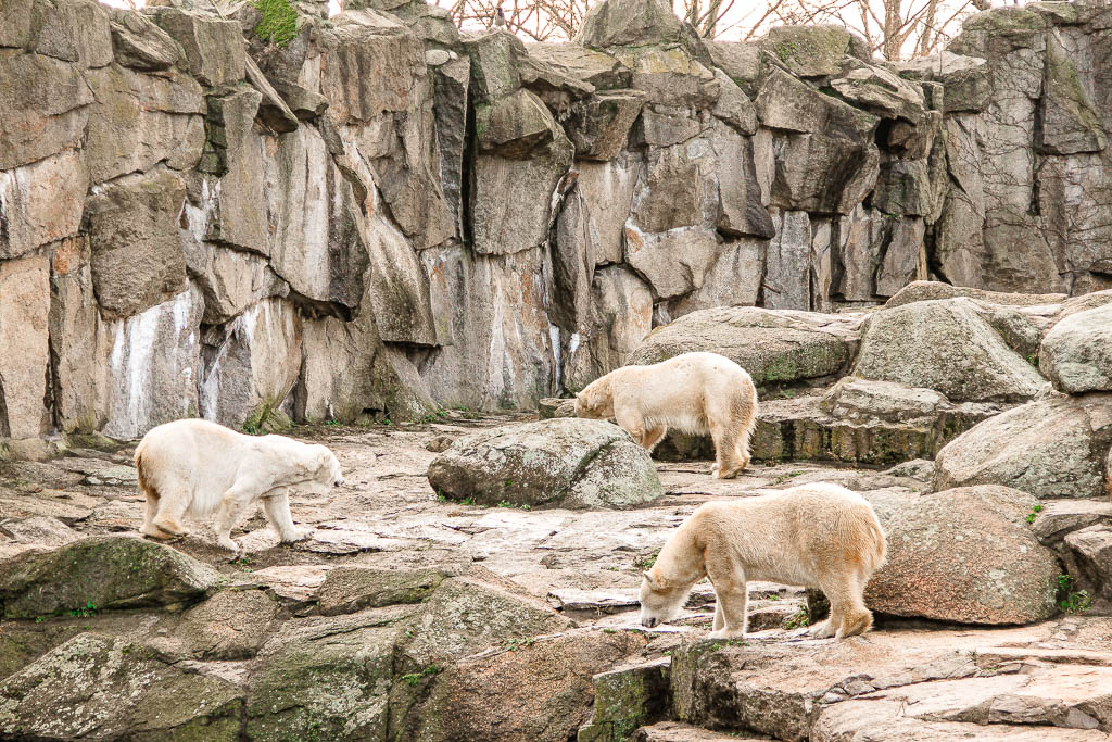 Berlim_Alemanha_amamosviajar -059