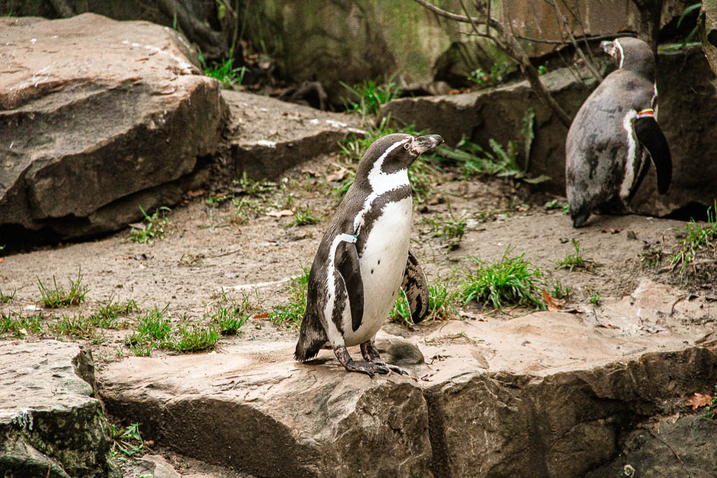 Berlim Alemanha amamosviajar 060