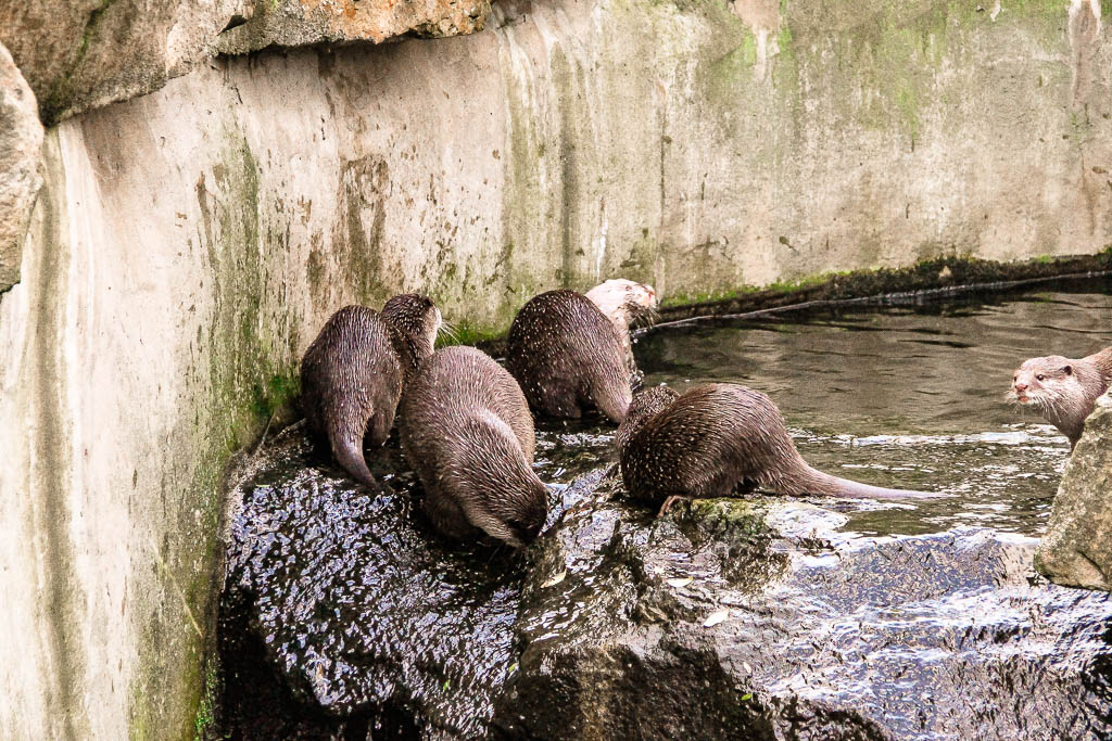 Berlim_Alemanha_amamosviajar -061